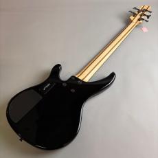 YAMAHA TRBX305_6