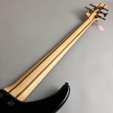 YAMAHA TRBX305_7