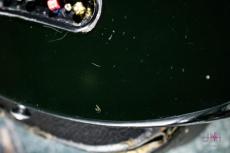 Gibson L-9S Ripper Fretless / 1979_8