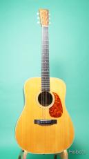 Collings D-2H_2