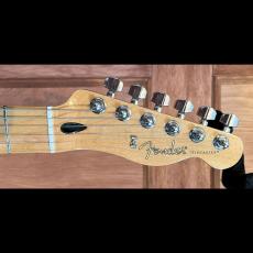 Fender Player Tele MN PWT_5