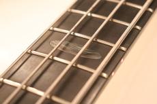 ALEMBIC 2008 Spyder Bass SYLB4 36 of 50 "Limited Edition"_4