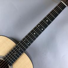 Martin D-12E NT_3
