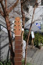 Seagull(Canada) Mahogany CW DUET-2_3