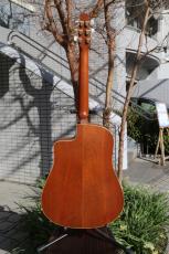 Seagull(Canada) Mahogany CW DUET-2_4