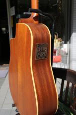 Seagull(Canada) Mahogany CW DUET-2_5