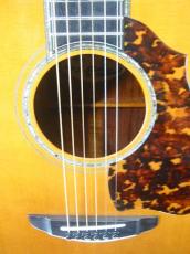 Terry's Terry TCJ-2000 / 10th Anniversary Model・Abalone Trim and Rosette・Premium Spruce Top・Premium Jacaranda Side and Back・ Heel Sculpt・Tortoise guard 【With Original Case】 2001年製_7