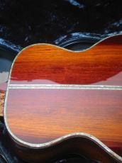 Terry's Terry TCJ-2000 / 10th Anniversary Model・Abalone Trim and Rosette・Premium Spruce Top・Premium Jacaranda Side and Back・ Heel Sculpt・Tortoise guard 【With Original Case】 2001年製_9