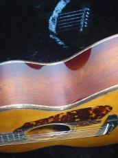 Terry's Terry TCJ-2000 / 10th Anniversary Model・Abalone Trim and Rosette・Premium Spruce Top・Premium Jacaranda Side and Back・ Heel Sculpt・Tortoise guard 【With Original Case】 2001年製_10