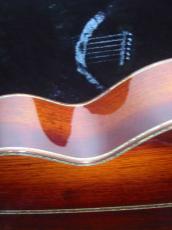 Terry's Terry TCJ-2000 / 10th Anniversary Model・Abalone Trim and Rosette・Premium Spruce Top・Premium Jacaranda Side and Back・ Heel Sculpt・Tortoise guard 【With Original Case】 2001年製_11