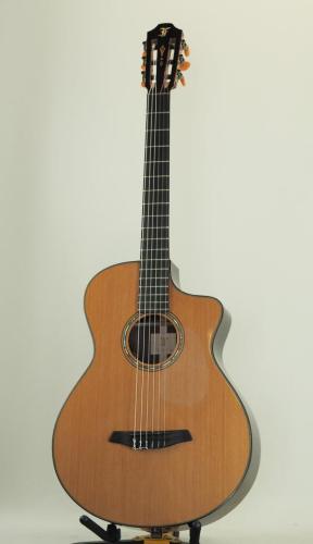 Furch Guitars GNc4-CR【serial 115329】