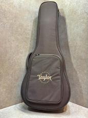 Taylor 【試奏動画あり】GS Mini-e Rosewood Plus #2205284282【バランスに優れた煌びやかな響き】【送料当社負担】【池袋店在庫品】_11