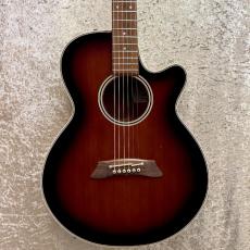 Takamine PT-106