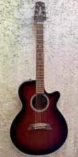 Takamine PT-106_3