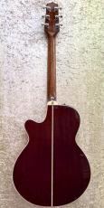 Takamine PT-106_4