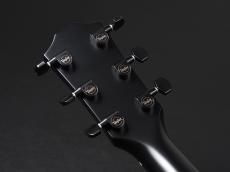 Taylor 214ce Special Edition ~Trans Blue~_9