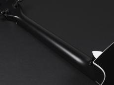 Taylor 214ce Special Edition ~Trans Blue~_10