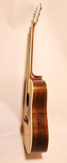 Takamine Elite　by　TAKAMINE　TW-60　ハカランダ_3