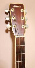 Takamine Elite　by　TAKAMINE　TW-60　ハカランダ_11