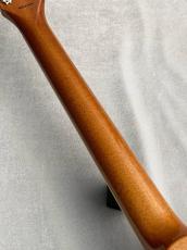 Tokai LS-101S-WA  - Gold Top - #2551078【4.20kg】_8