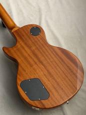 Tokai LS-101S-WA  - Gold Top - #2551078【4.20kg】_9