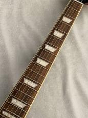 Epiphone Les Paul Standard 50s Metallic Gold # 25041520098【4.05kg】_5