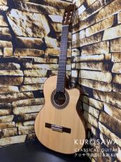 Paco Castillo パコ・カスティージョ Model:232TE Narrow Neck/Thin Body【日本総本店2F在庫品】