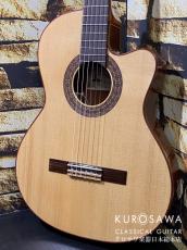 Paco Castillo パコ・カスティージョ Model:232TE Narrow Neck/Thin Body【日本総本店2F在庫品】_2
