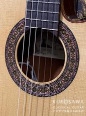 Paco Castillo パコ・カスティージョ Model:232TE Narrow Neck/Thin Body【日本総本店2F在庫品】_3