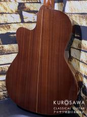 Paco Castillo パコ・カスティージョ Model:232TE Narrow Neck/Thin Body【日本総本店2F在庫品】_5