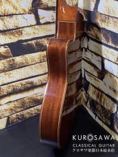 Paco Castillo パコ・カスティージョ Model:232TE Narrow Neck/Thin Body【日本総本店2F在庫品】_6