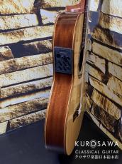 Paco Castillo パコ・カスティージョ Model:232TE Narrow Neck/Thin Body【日本総本店2F在庫品】_7