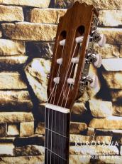 Paco Castillo パコ・カスティージョ Model:232TE Narrow Neck/Thin Body【日本総本店2F在庫品】_8
