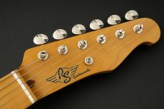 RS Guitarworks STee Standard "Ash Body" Between Medium and Heavy -Butterscotch Blonde- #RS525-5_5