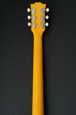 Edwards E-LS-JR-LTD -TV Yellow- #ED7431253 【数量限定生産モデル】_8