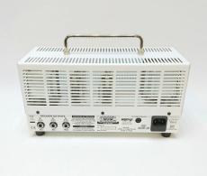 Orange Tiny Terror_5