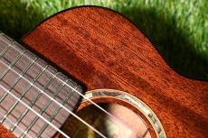 aNueNue AMM2 Concert_9