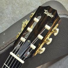 Taylor 512ce-N '16【シダー×マホガニー・オール単板エレガット】【生産完了モデル】【送料当社負担】【池袋店在庫品】_3