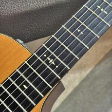 Taylor 512ce-N '16【シダー×マホガニー・オール単板エレガット】【生産完了モデル】【送料当社負担】【池袋店在庫品】_5