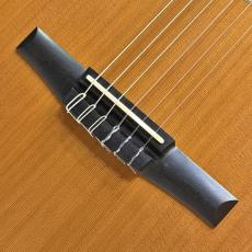 Taylor 512ce-N '16【シダー×マホガニー・オール単板エレガット】【生産完了モデル】【送料当社負担】【池袋店在庫品】_7