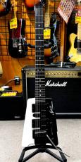 Steinberger GT-PRO DELUXE_3