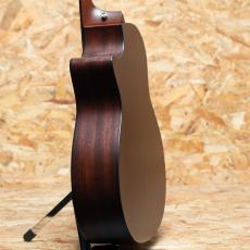 Taylor 314ce J-Spec_5