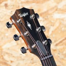 Taylor 314ce J-Spec_8