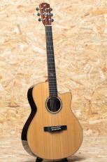 Morris S-101 III_3