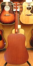 Martin D-1_5