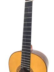 ESTEVE 8 Spr_4