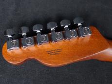 Fender Limited Edition Acoustasonic Standard Telecaster Arctic Gold_9