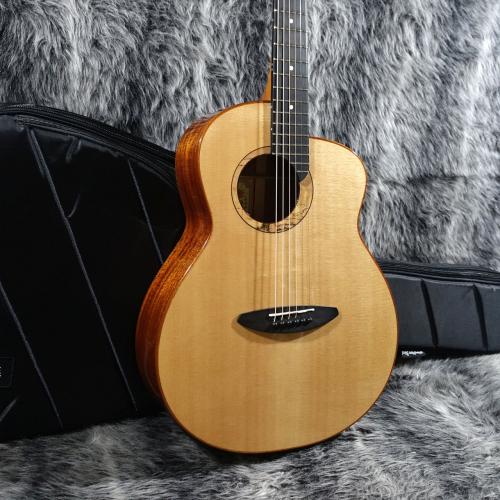aNueNue aNN-L100E