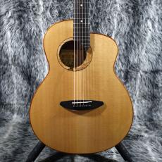 aNueNue aNN-L100E_9