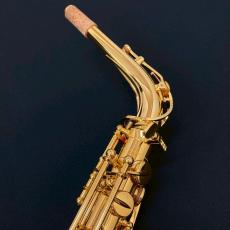 YAMAHA YAS-875EXG #G00102_3